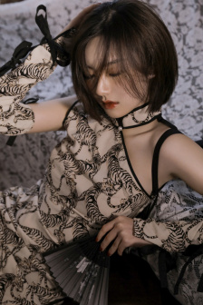 电视剧苍兰诀在线观看